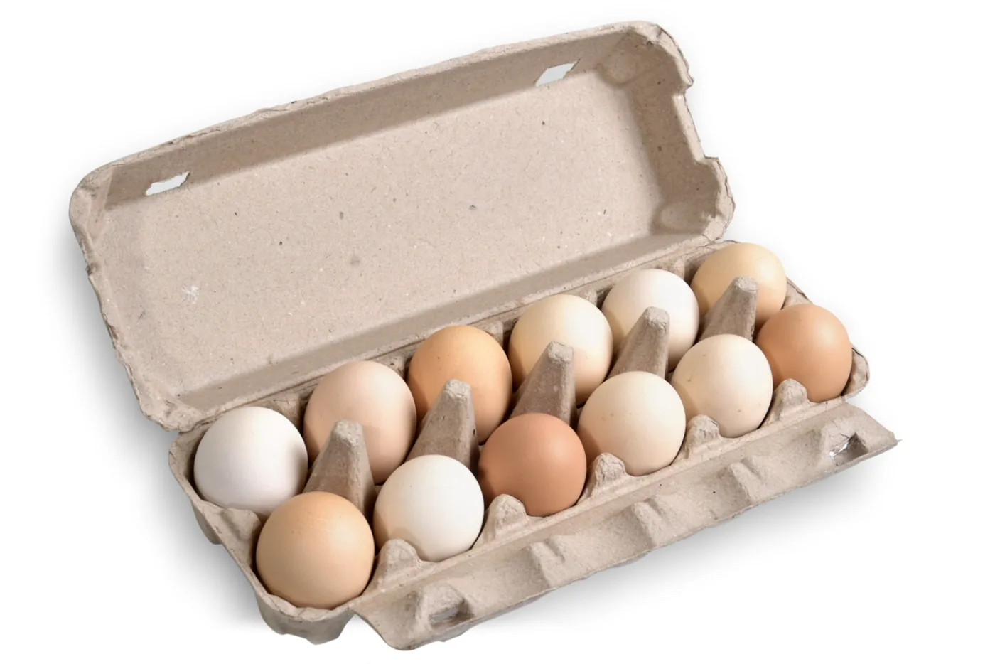 Open carton showing twelve desi eggs