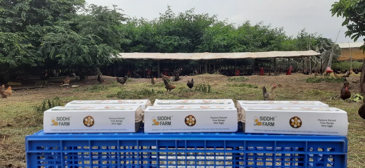Siddhi Farm egg packs stacked in a crate, with hens in the pasture behind